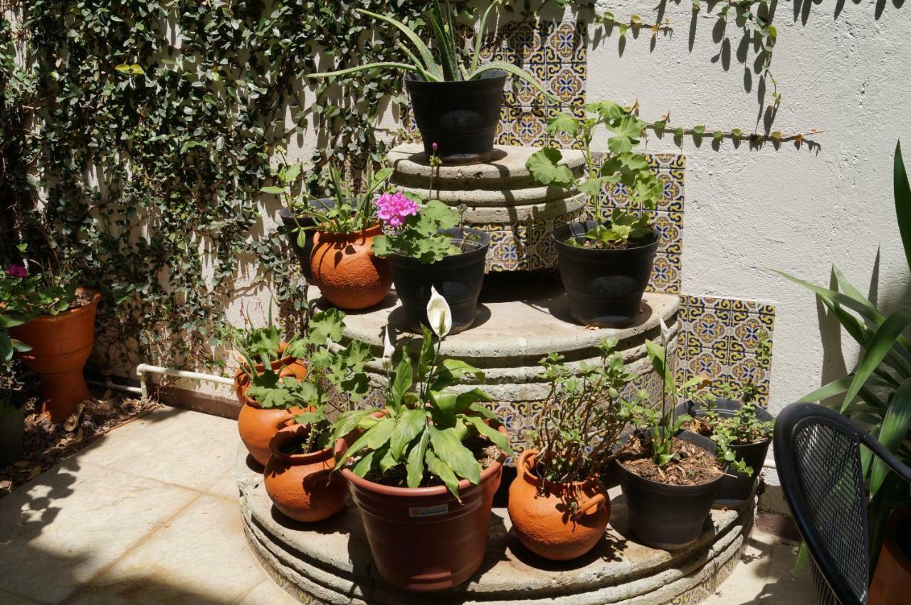 Hostal De Las Americas Oaxaca Εξωτερικό φωτογραφία